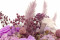 Dusty Rose Gypsophila Packaged in a Bunch and Delicately Preserved to Last for Years