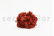 One bouquet of preserved red hydrangea with and without packaging