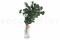 A Bunch of Greeen Preserved Silver Dollar Eucalyptus