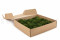 A Box Of Nature Green Mini Pole Moss for Crafting Moss Art