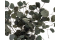 A Bunch of Silver Dollar Eucalyptus Delicately Preserved to Last Forever
