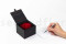 An Elegant Black Box Filled With one Large Red Preserved Rose