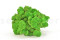 Preserved premium-quality green reindeer moss sold wholesale for green walls