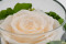 A round bowl containing a preserved peach rose set on preserved green hydrangea.