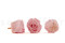 A Box Containing 8 Large Preserved Rose Heads in Bridal Pink From Kiara