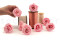 A Box Containing 8 Large Preserved Rose Heads in Bridal Pink From Kiara