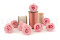 A Box Containing 8 Large Preserved Rose Heads in Bridal Pink From Kiara