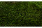 A Box Containing Preserved Long Moss That can be Used to Create Plant Frames.