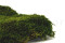 A Box Containing Preserved Long Moss That can be Used to Create Plant Frames.