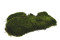 A Box Containing Preserved Long Moss That can be Used to Create Plant Frames.
