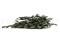 A Bunch of Green Preserved Olive Branches