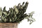 A Bunch of Green Preserved Olive Branches