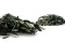 A Bunch of Green Preserved Olive Branches