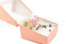 A boutonniere for a special occasion in pale pink and beige tones, made with preserved flowers and foliage.