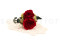 A romantic boutonniere in vibrant red tones, made with preserved flowers and foliage