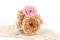 A corsage for a special occasion in pale pink and beige tones, made with preserved flowers and foliage.