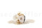 A corsage for a special occasion in white and cream tones, made with preserved flowers and foliage.