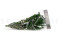A Bunch of Green Boxwood Delicately Preserved to Last Forever