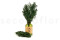 A Bouquet of Green Preserved Ming Fern 