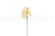 Three preserved white anthurium stems and flowers with and without packaging