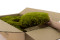 A Bulk of Mood Moss Light Green for Making Preserved Green Walls