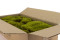 A Bulk of Mood Moss Light Green for Making Preserved Green Walls