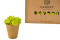 1 kg of Preserved Premium-Quality Lime Green Reindeer Moss Sold Wholesale for Green Walls