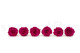 A Box Containing 6 Extra Large Hot Pink Eternal Rose Heads From Kiara