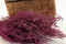A Bunch of Pink Preserved Stoebe in a Hand and in its Packaging