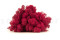 1 kg of Preserved Premium-Quality Fuchsia Pink Reindeer Moss Sold Wholesale for Green Walls