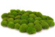 A Box Of Light Green Mini Pole Moss for Crafting Moss Art