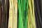 Large Box with 20 Stems of Green Dried Elephant Reed